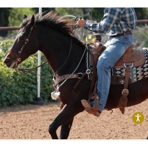 CINCH Mens Black Label 2.0 Style MB 90633006 Jeans Size 33x32